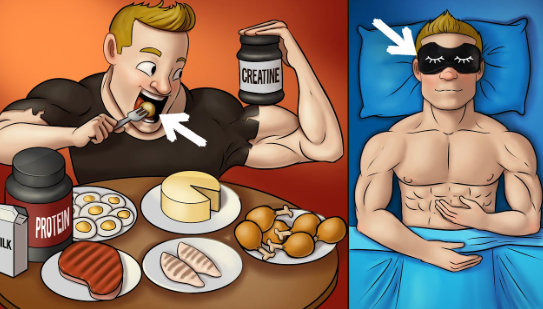 How many calories to eat to nourish your muscles